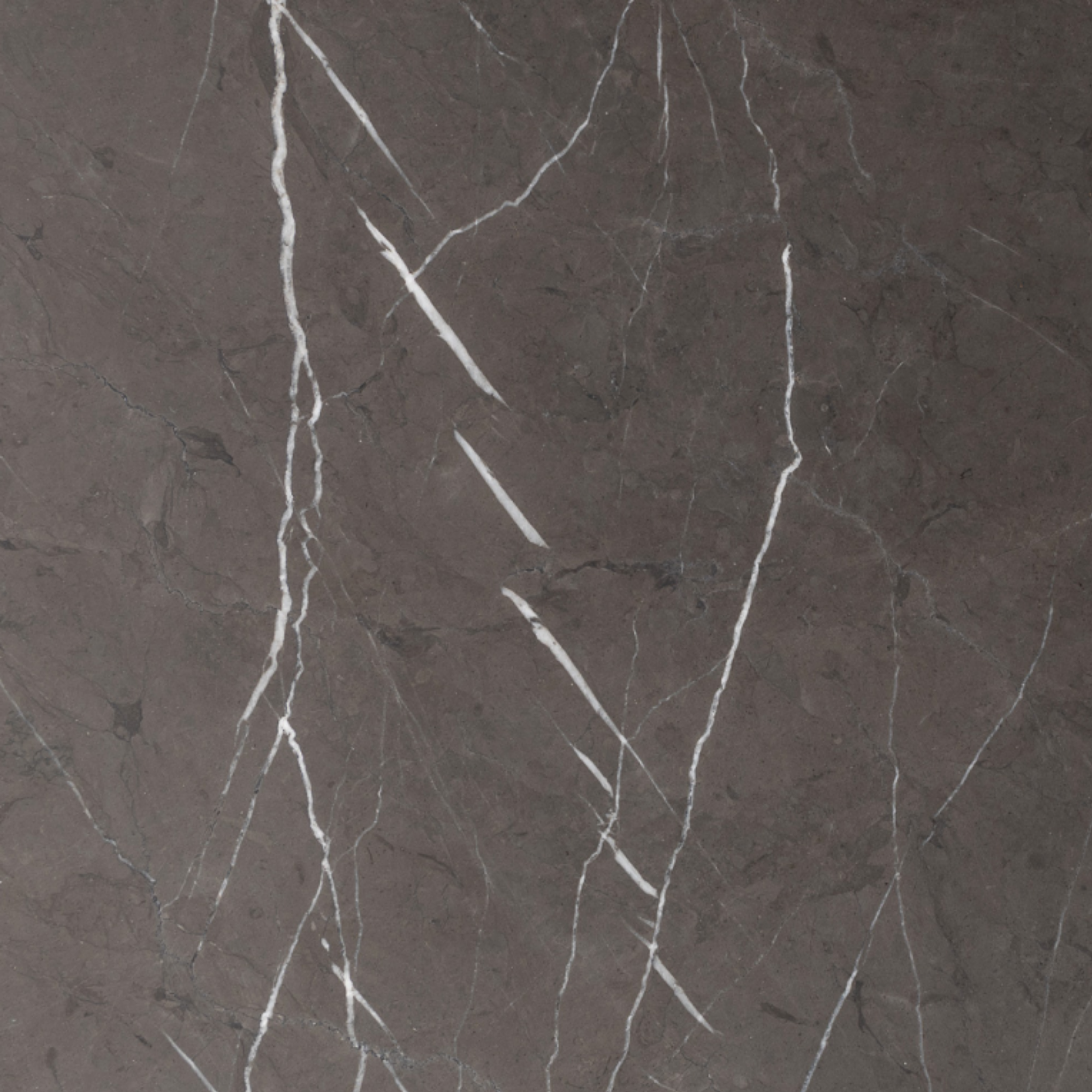 Pietra Grey